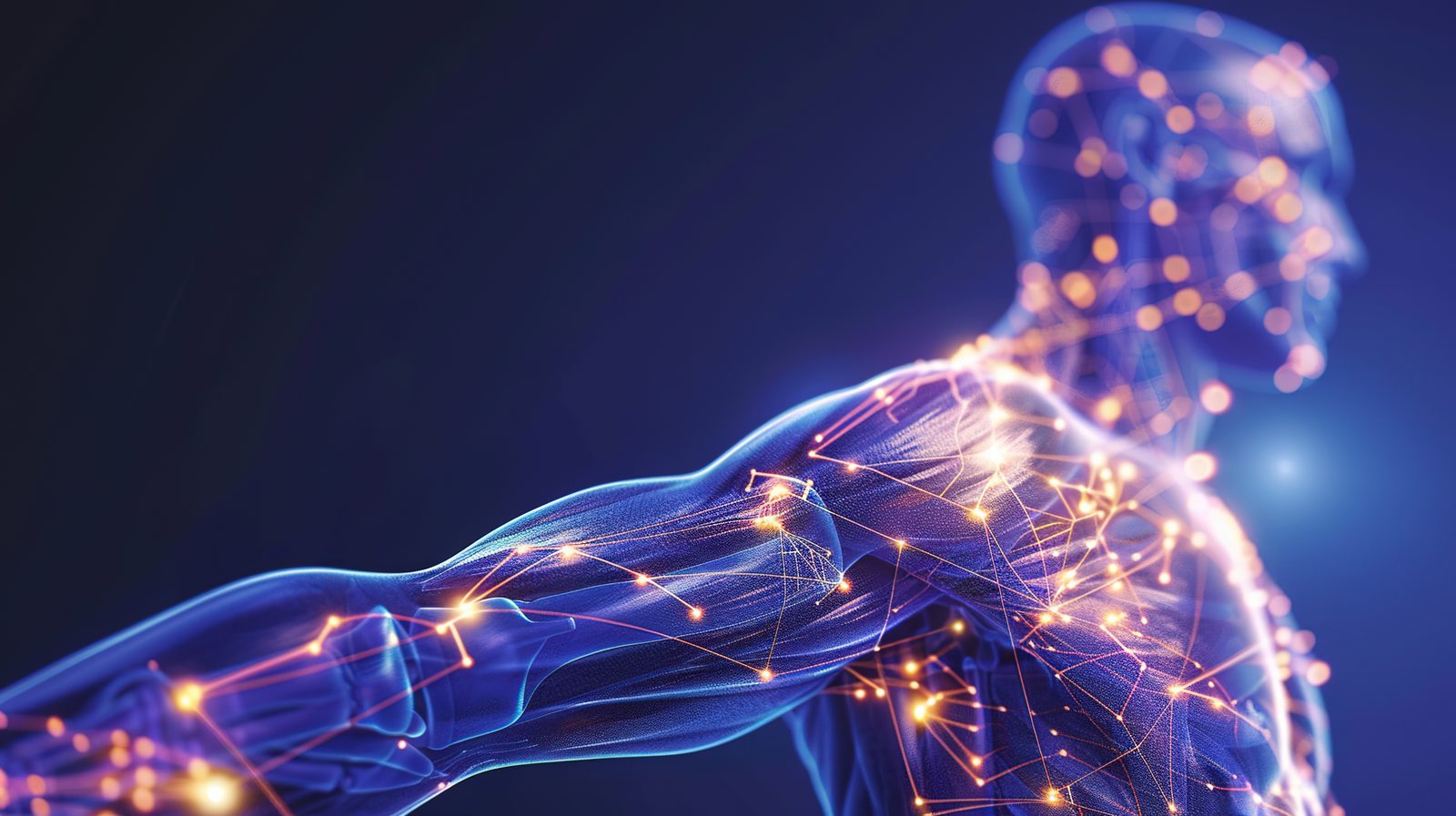 Translucent anatomical figure with glowing neural network pathways radiating through the neck, shoulder, and arm against a deep blue background — Orthopedics 221: Burner Syndrome, a 2-hour chiropractic CE course