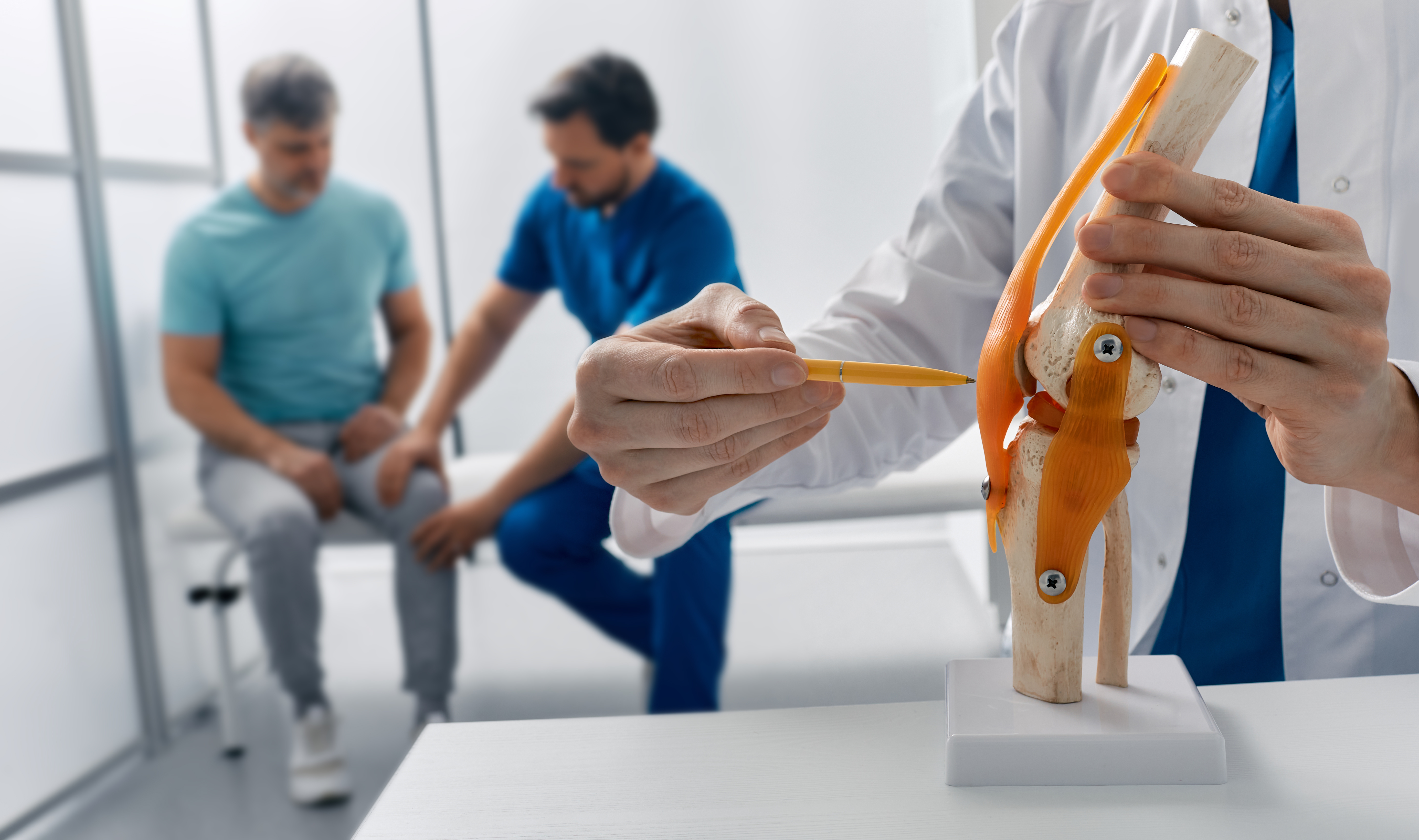 Certified Chiropractic Rehabilitation (CCR) program emblem — functional rehab, outcome-based care, evidence-based practice — CCEDseminars certification