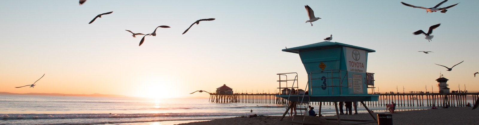 California beach lifeguard tower at sunrise with seagulls — banner for California chiropractic continuing education