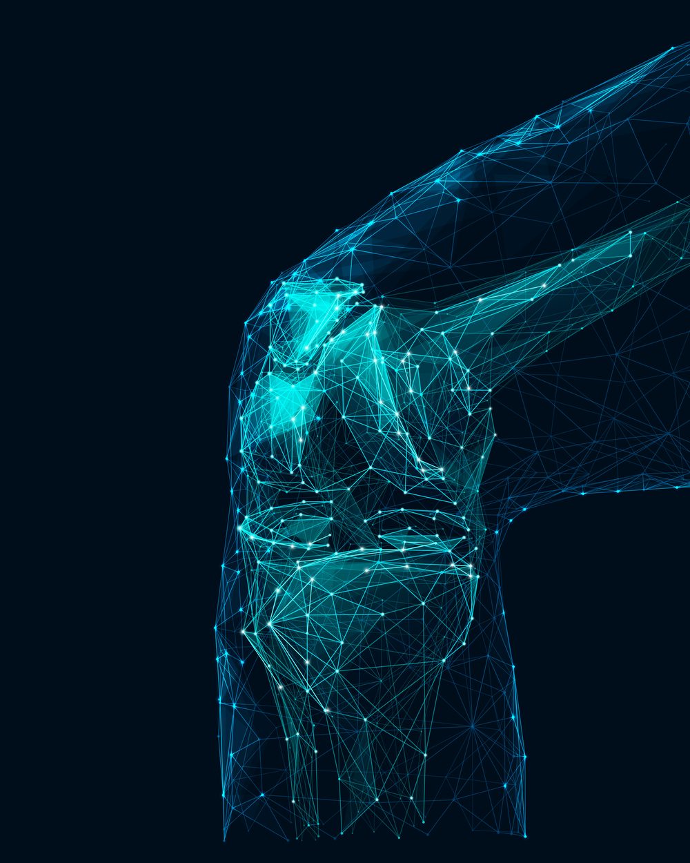 Polygonal wireframe knee joint illustration — chiropractic orthopedics CE courses; CCEDseminars category page