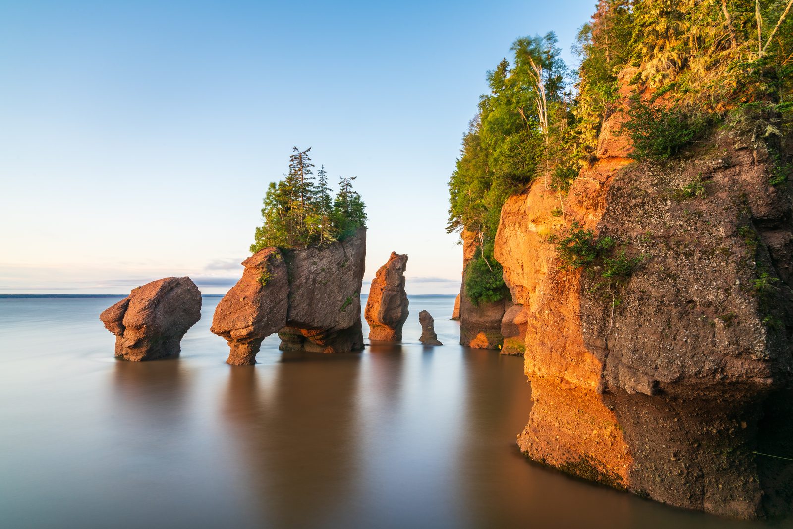 Hopewell Rocks sea stacks on the Bay of Fundy, New Brunswick — New Brunswick chiropractic CE requirements guide