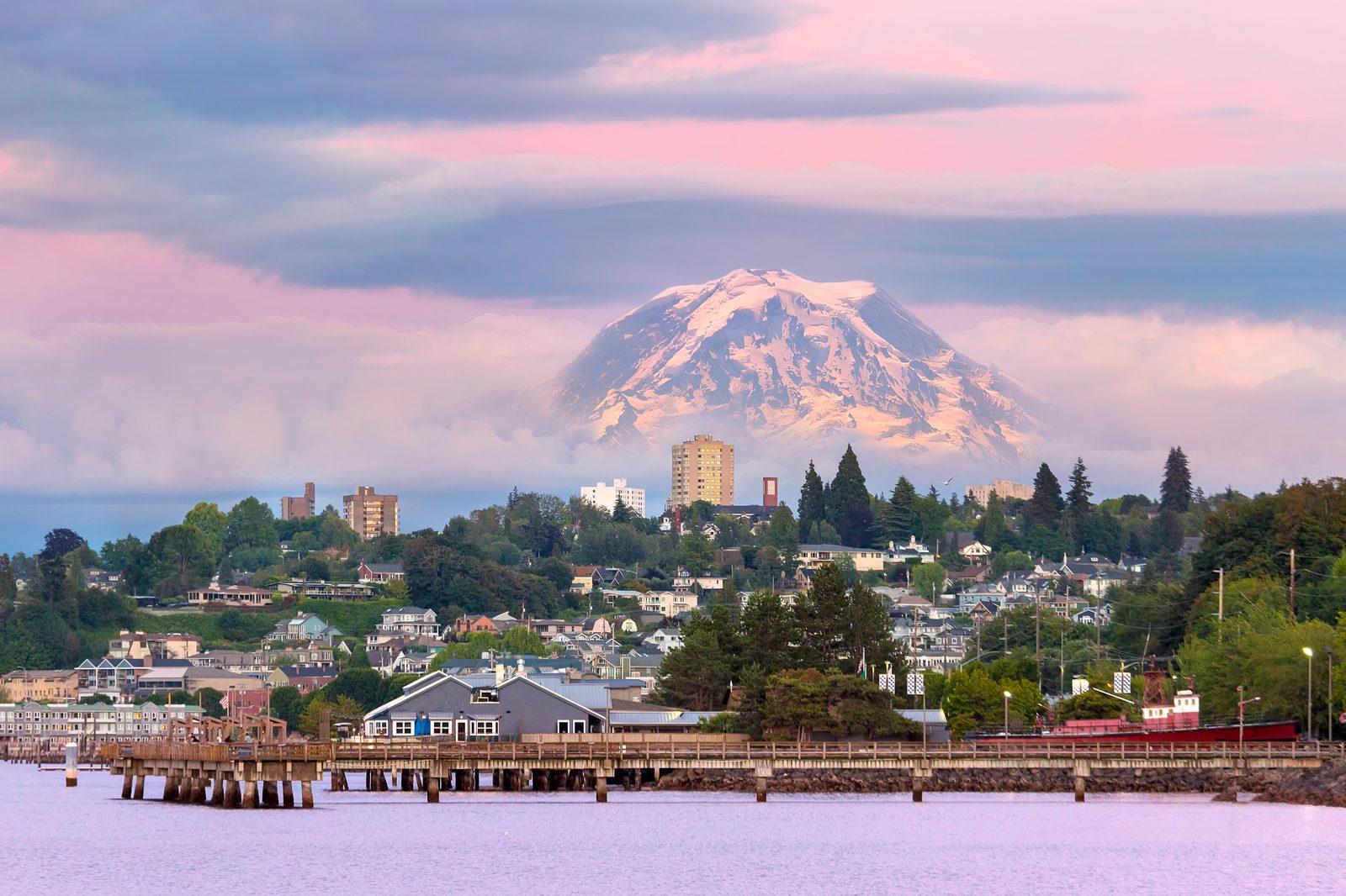 Mount Rainier above evergreen forest — Washington chiropractic CE requirements guide, CCEDseminars