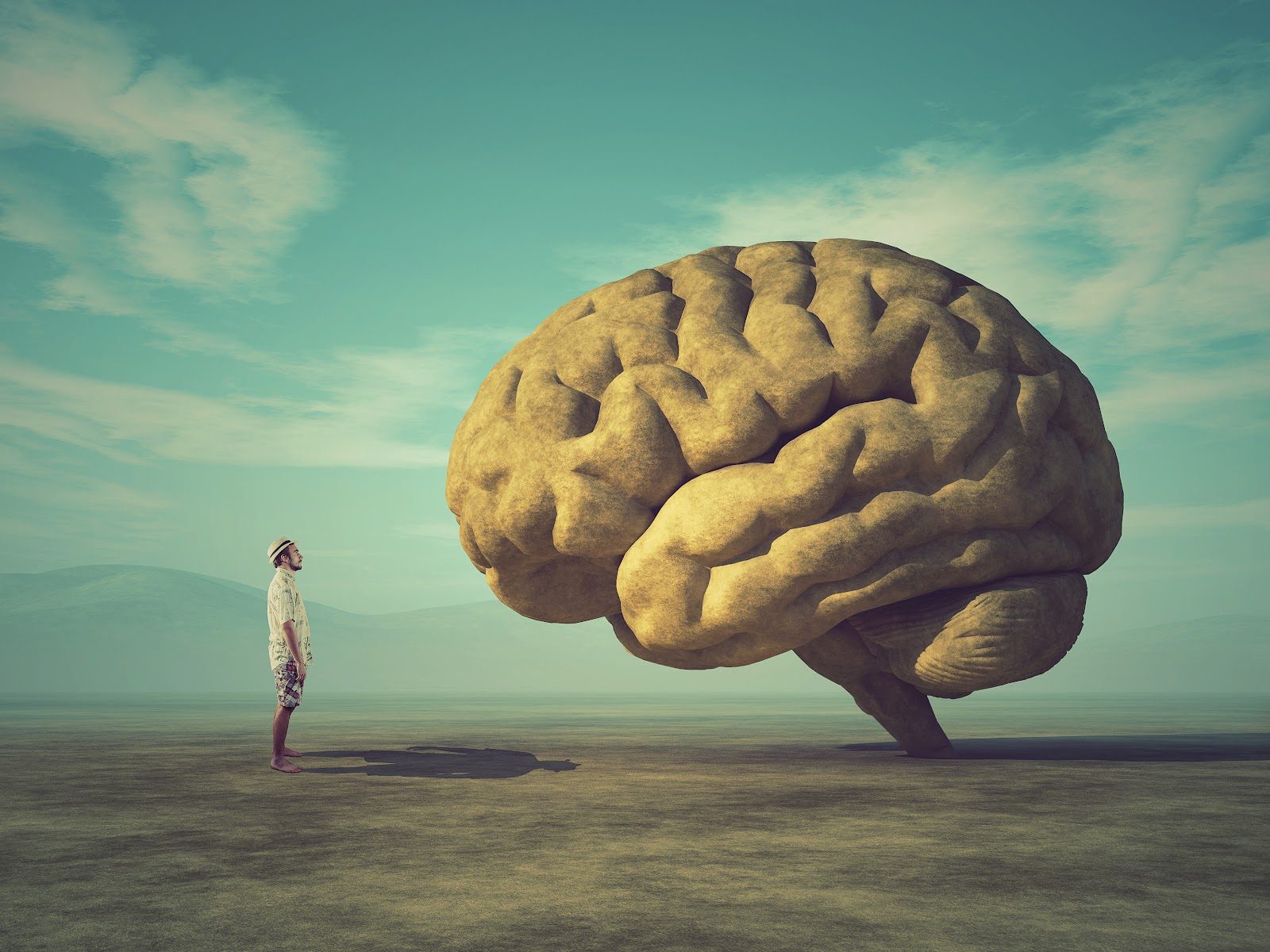 Surreal illustration of a small figure standing on an open plain looking up at an enormous stone sculpture of a human brain against a pale green sky