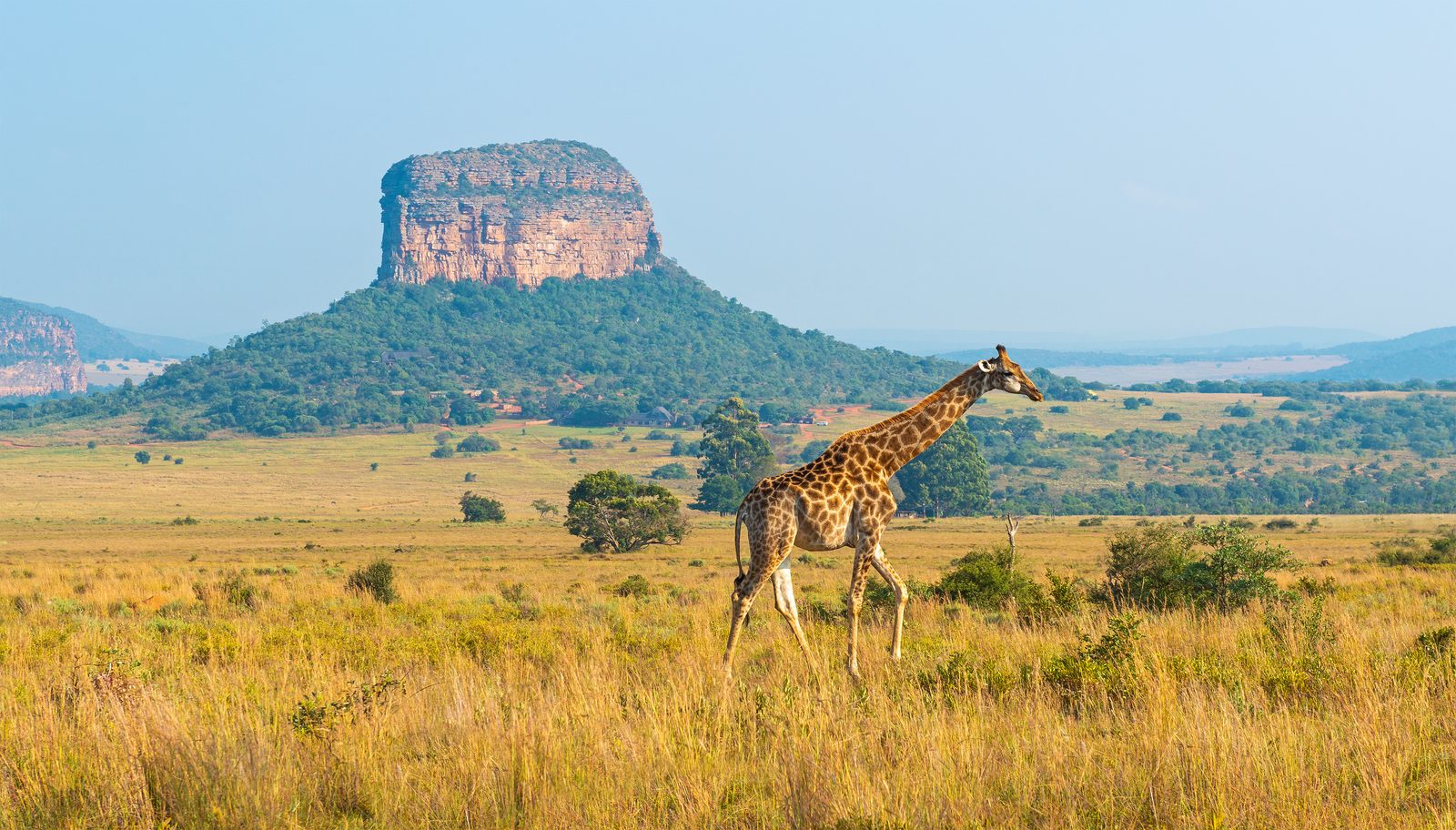 South African landmark — South Africa chiropractic continuing education requirements, CCEDseminars