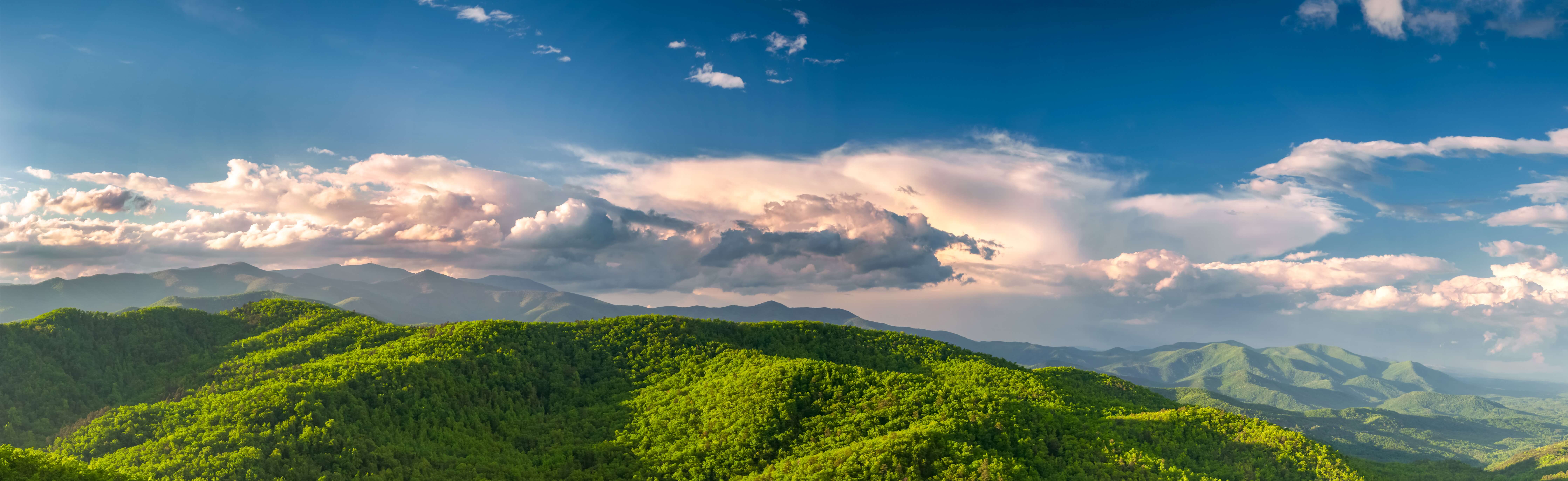 image of North Carolina on our chiropractic CEU online page