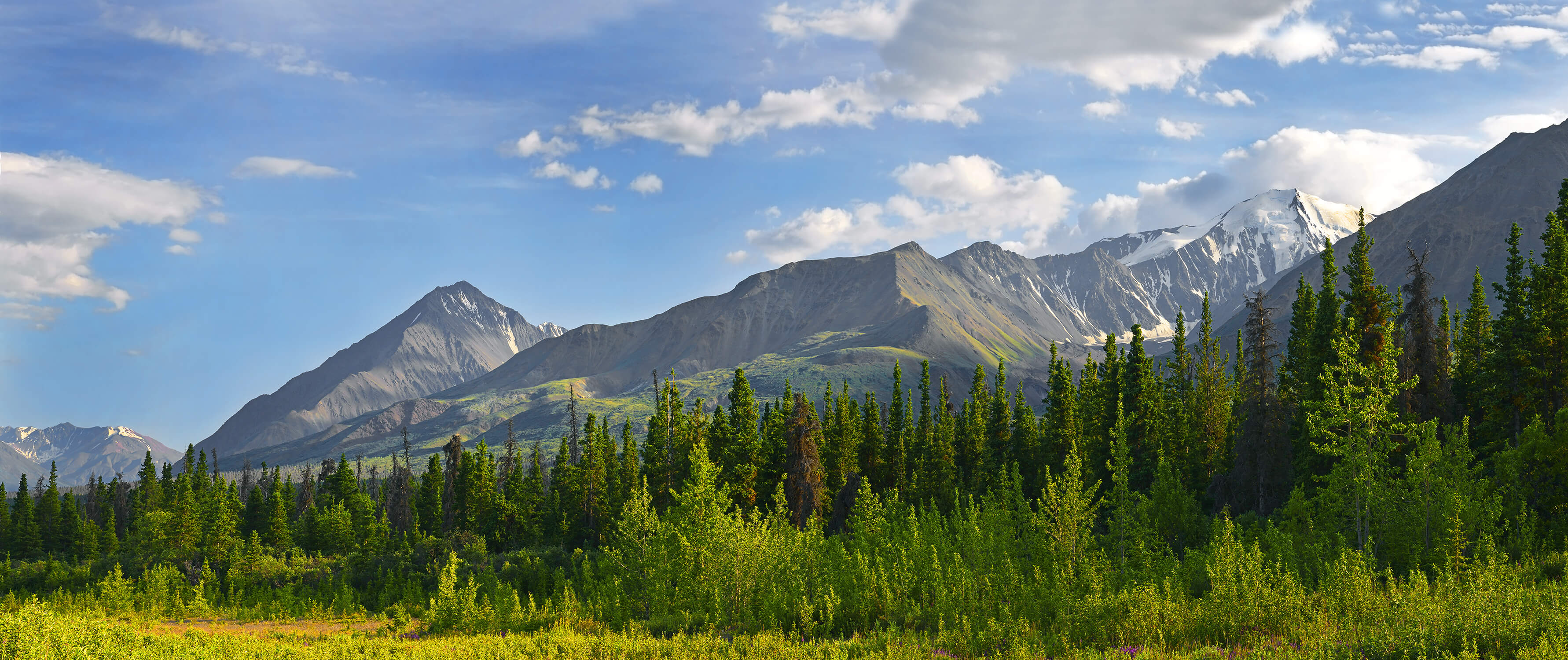 image of mountains on our chiropractic online continuing education page