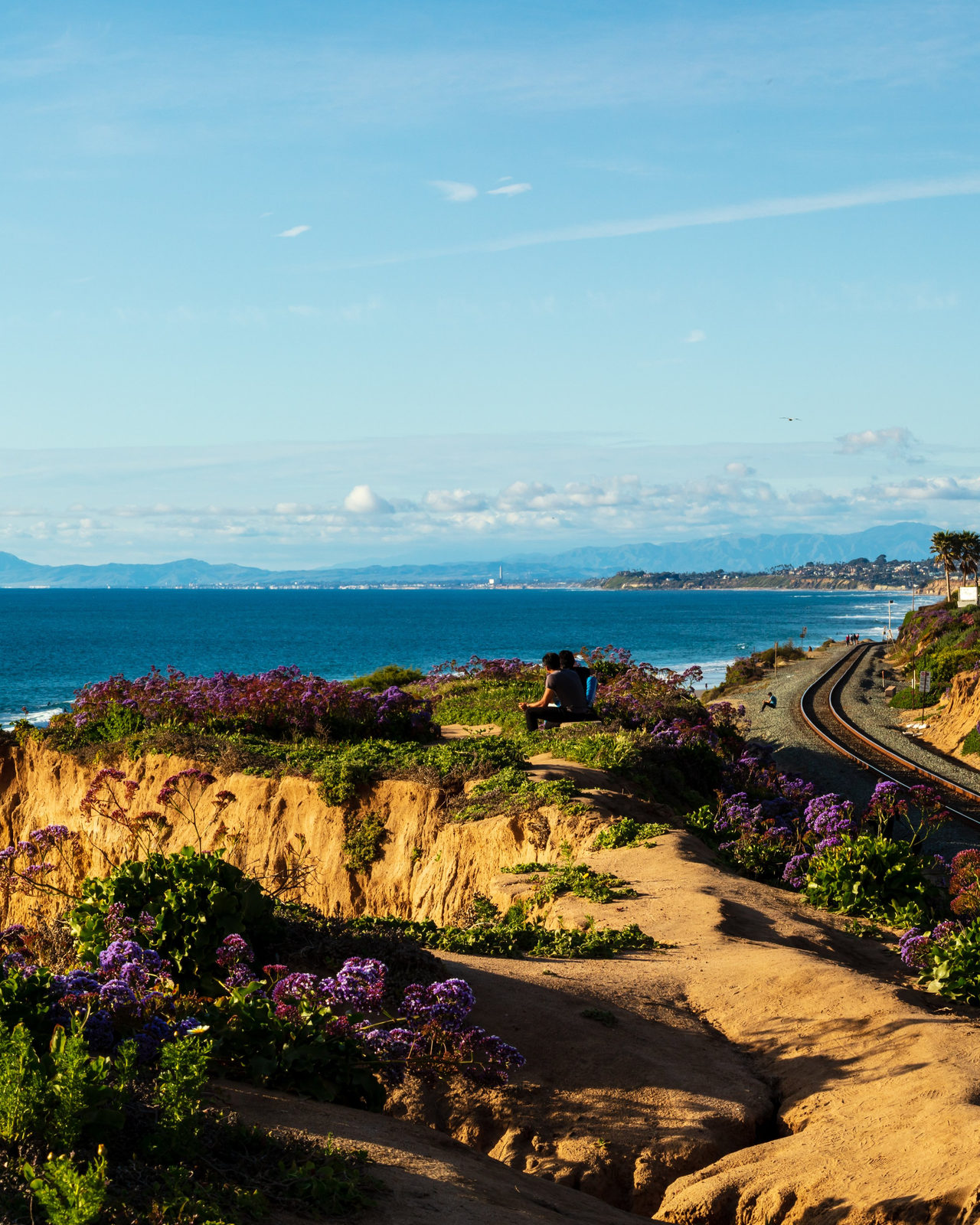 California coastal bluff above the Pacific — online chiropractic continuing education for California DCs