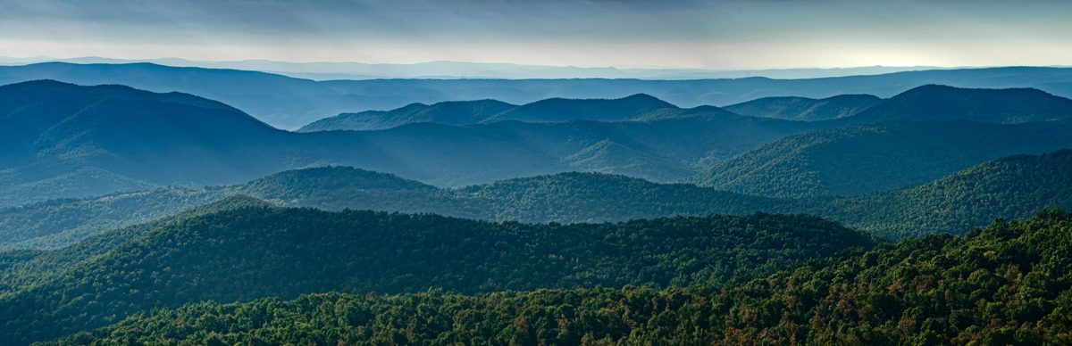 Virginia chiropractic continuing education online — professional CE courses and webinars (Virginia landscape)