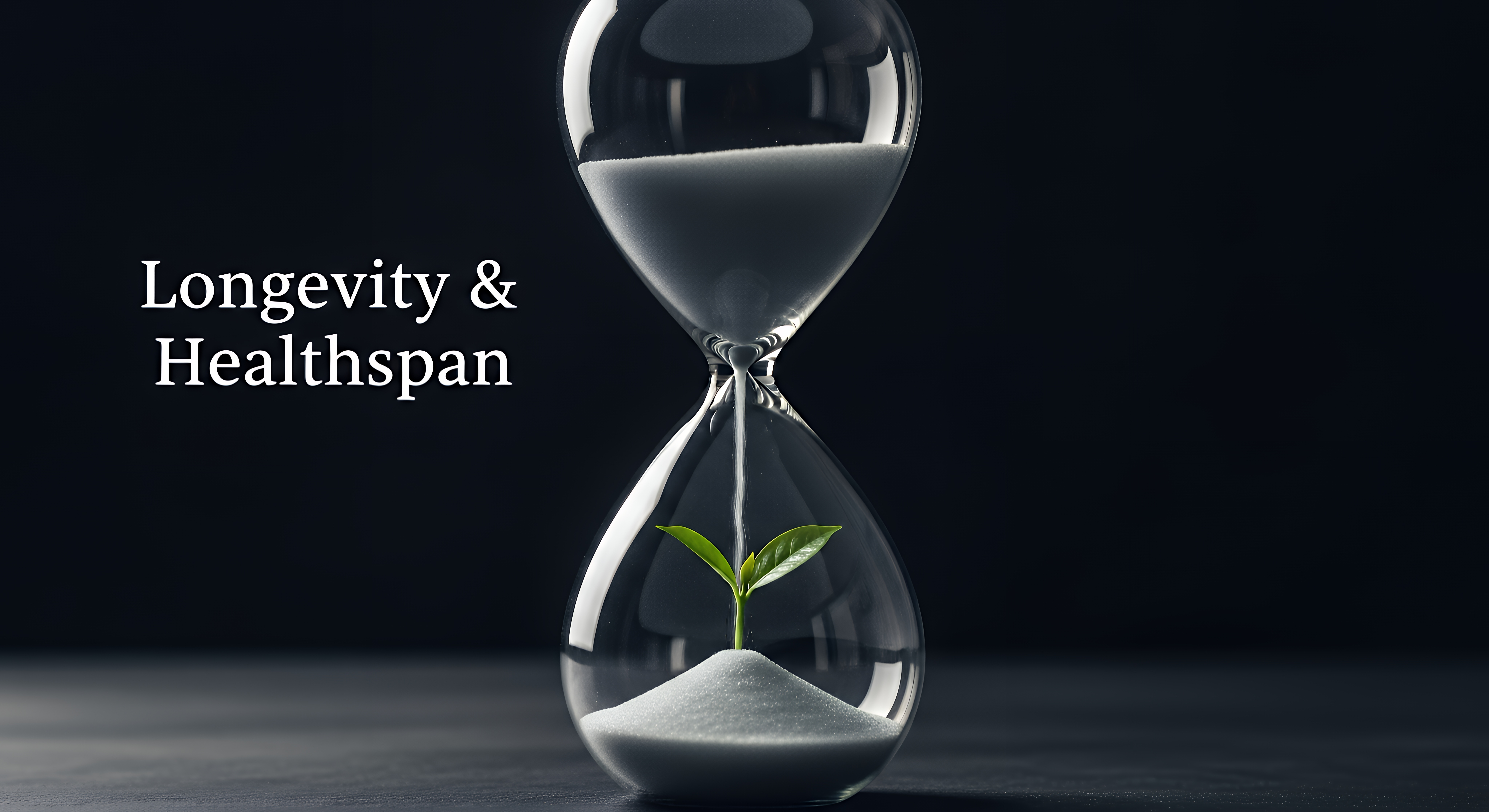 Chiropractic clinical assessment — July 2026 CE webinars