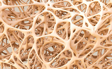 image of bone matrix on our online chiropractic ce page