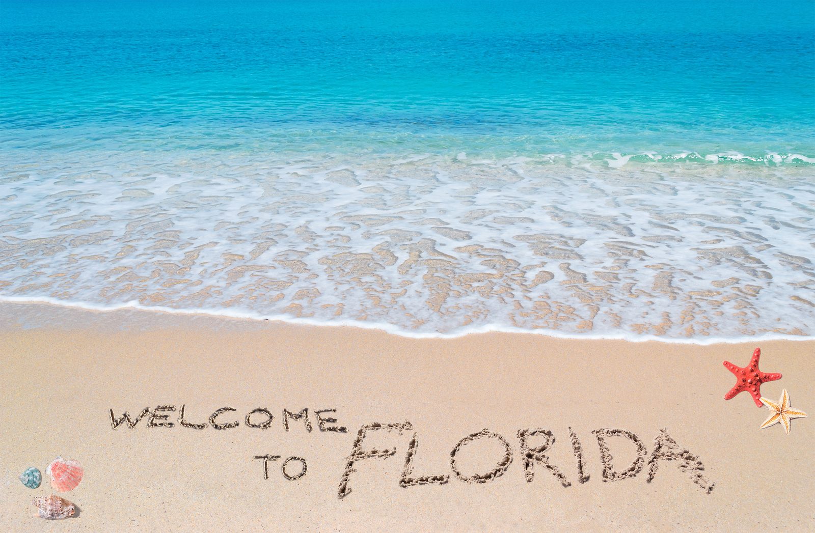 Welcome to Florida written in beach sand — Florida chiropractic CE requirements guide, CCEDseminars