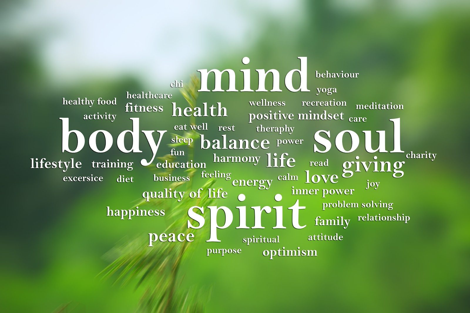 Green word cloud built around the words mind, body, soul and spirit with wellness terms scattered across a leafy background
