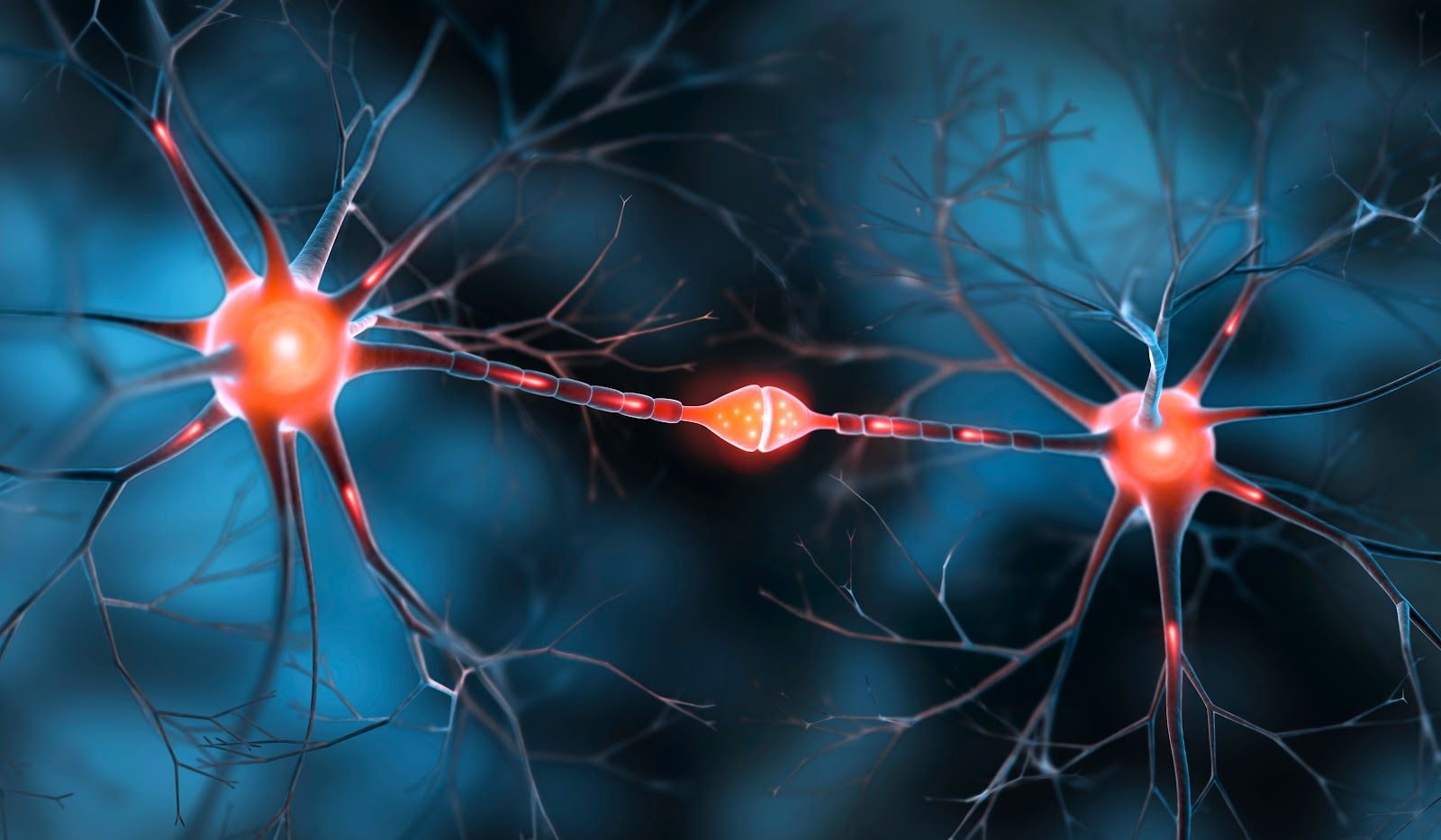 Glowing orange neurons with branching dendrites against a dark blue background — Orthopedics 202, trunk and upper extremity nerve entrapment syndromes