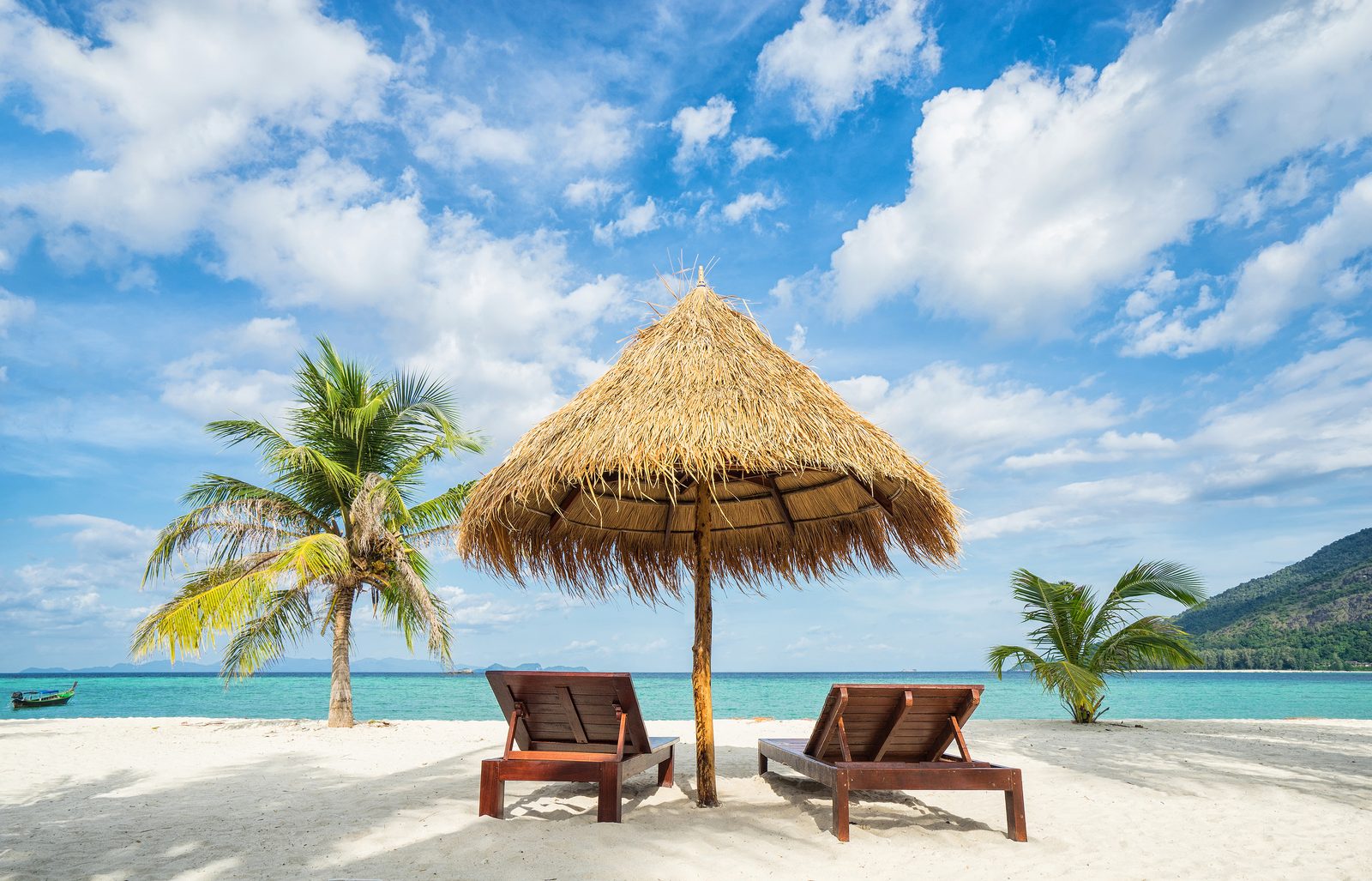 Jamaica coastline — Jamaica chiropractic license and continuing education, CCEDseminars