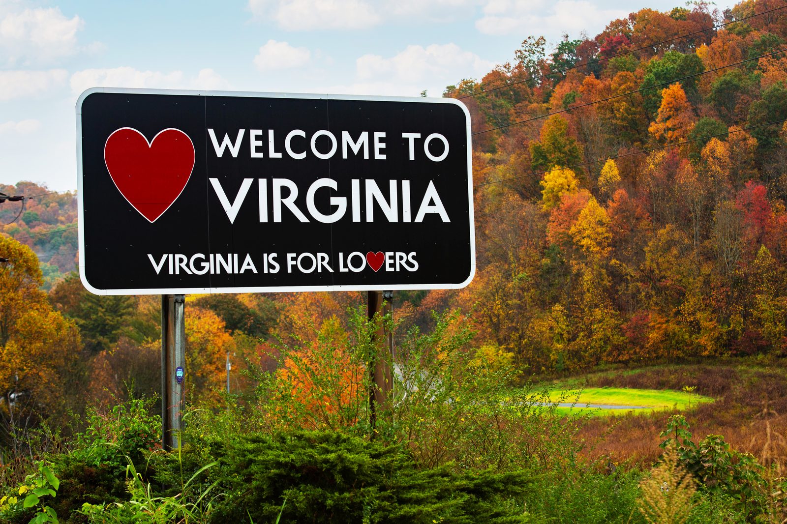 Virginia State Capitol in Richmond — Virginia chiropractic continuing education requirements guide, CCEDseminars