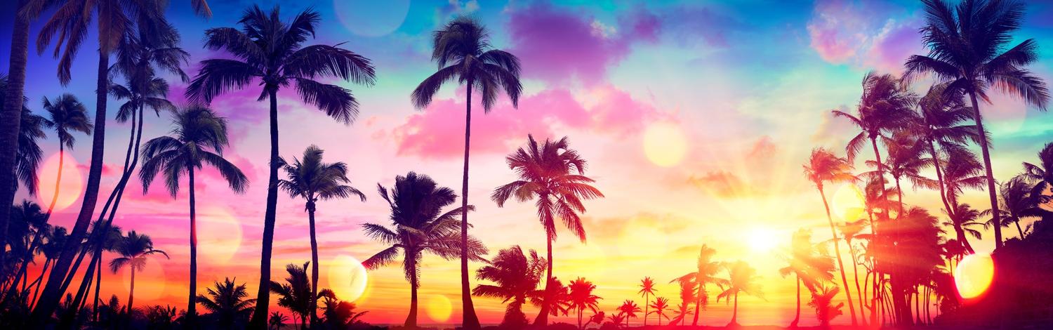 Florida sunset with palm trees symbolizing relaxation and renewal — Florida chiropractic CE courses online