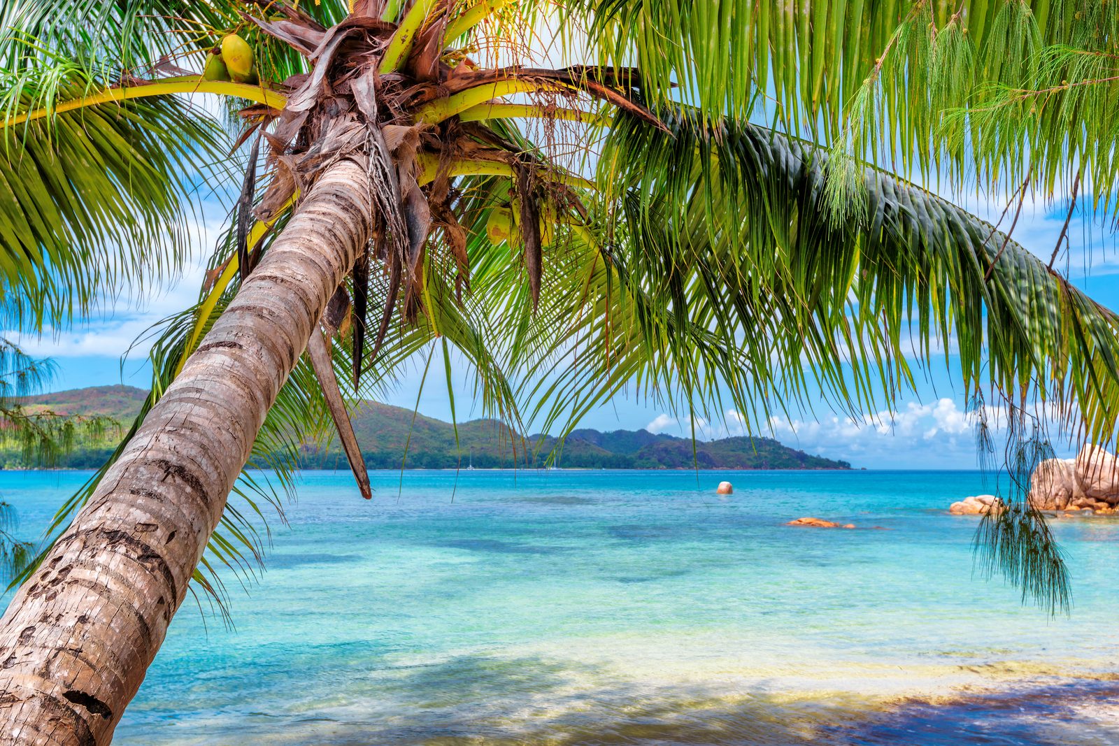 Fiji island scenery — Fiji chiropractic continuing education requirements, CCEDseminars