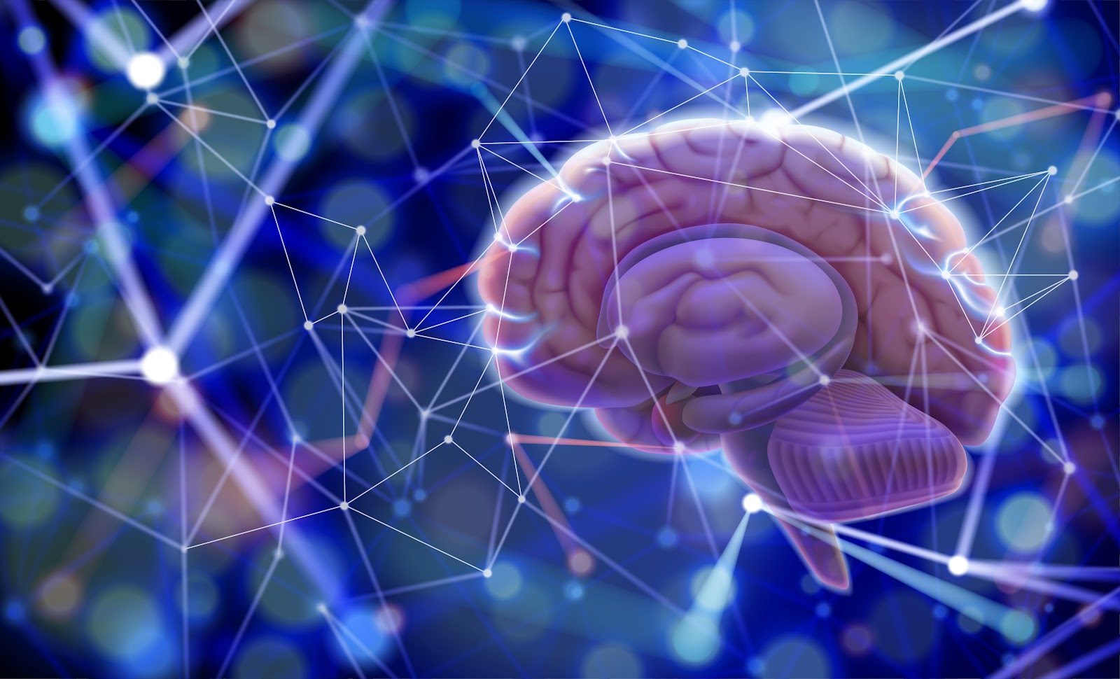 Three-dimensional lavender and pink human brain rendered in profile with the cerebellum visible, set against a dark blue background of glowing connected nodes and lines