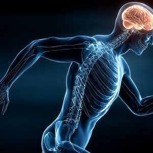 Certified Chiropractic Sports Medicine (CCSM) program emblem — athletic injury management, sports rehabilitation, sideline care — CCEDseminars certification