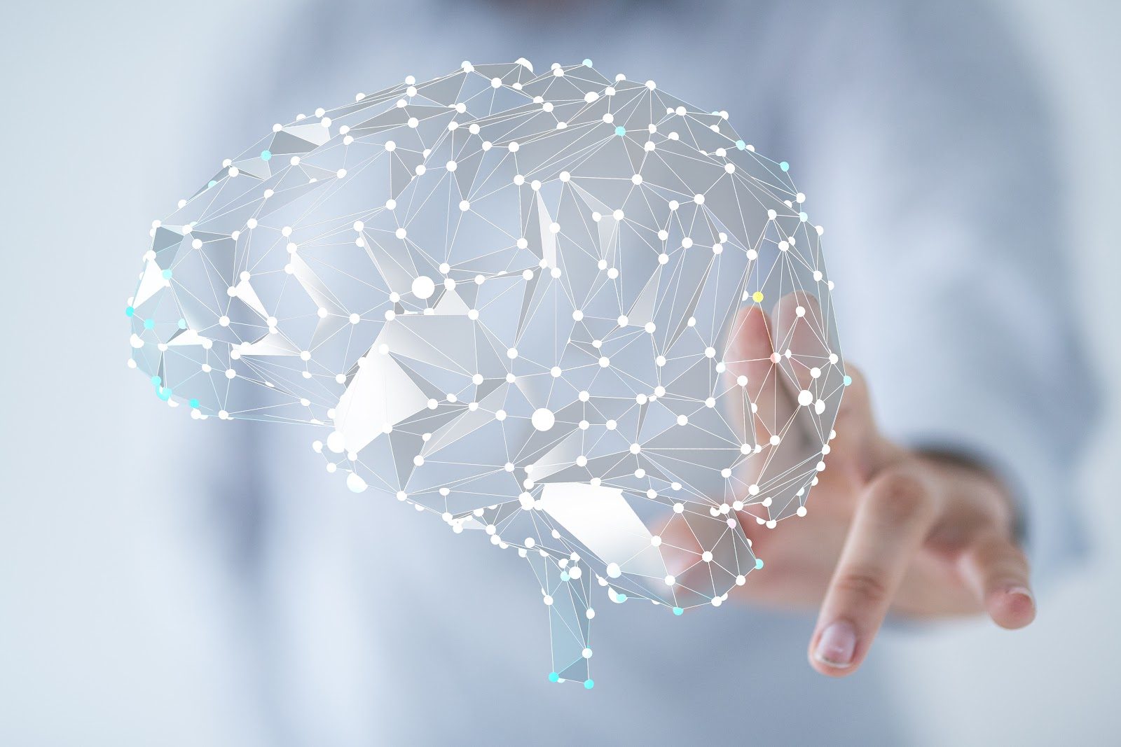 Low-polygon wireframe illustration of a human brain rendered in white and grey against a pale background