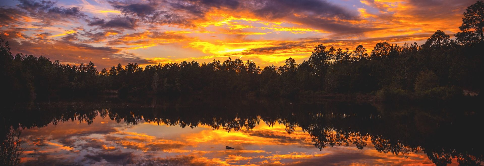 Alabama chiropractic continuing education—18 hours annually with online options; verify approvals before enrolling