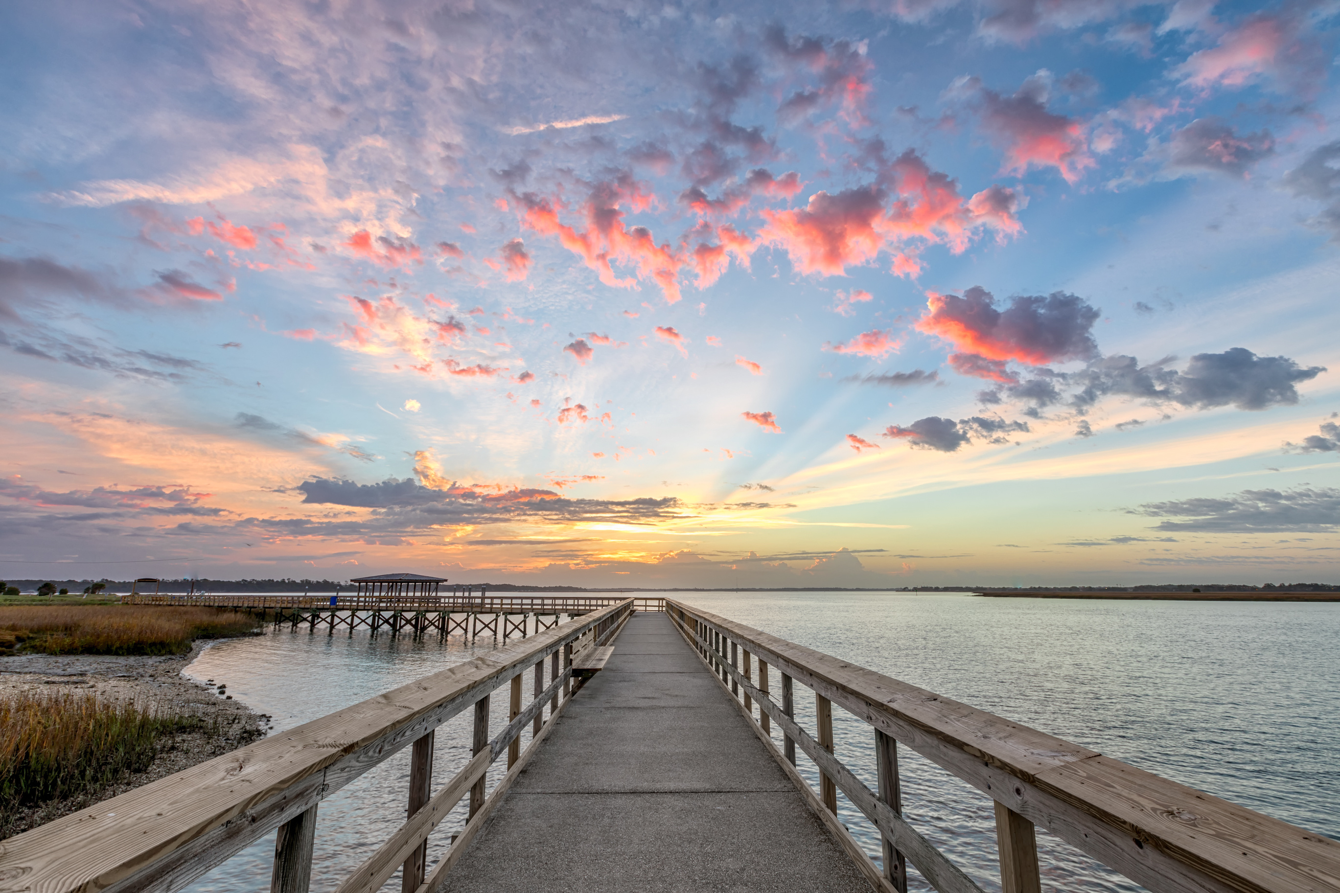 South Carolina chiropractor completing online continuing education for biennial license renewal