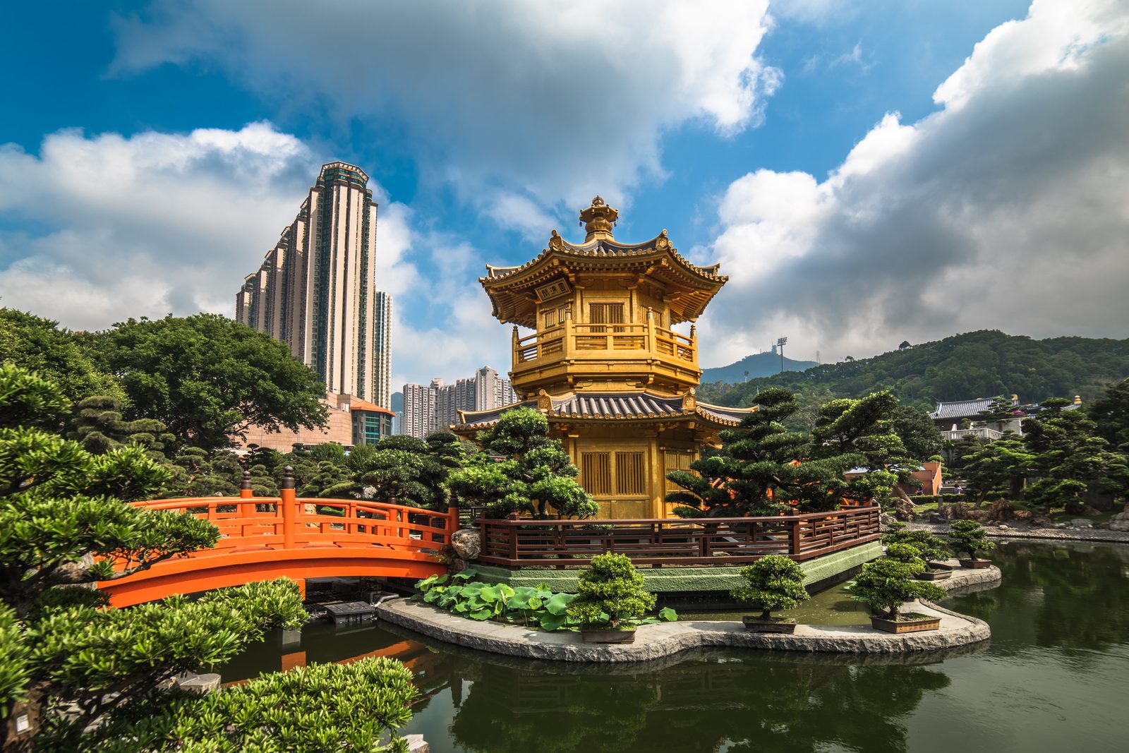 Hong Kong skyline — Hong Kong chiropractic CPD requirements, CCEDseminars