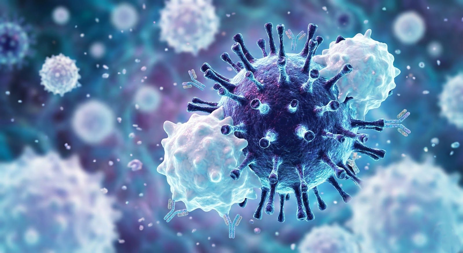 A 3D rendering of a spiked virus particle surrounded by pale immune cells in a blue-violet field — the immune defense that Nutrition 241 teaches chiropractors to reinforce through nutrition and spinal manipulation