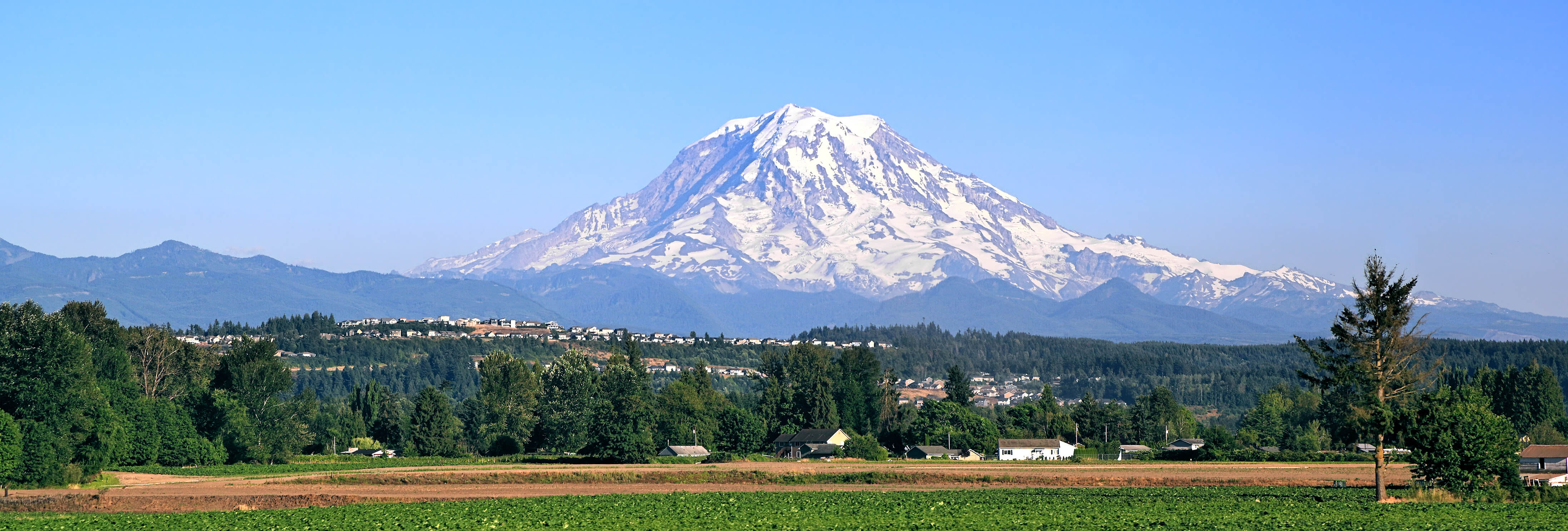 image of Mt St. Helans on our chiropractic CEU Online page