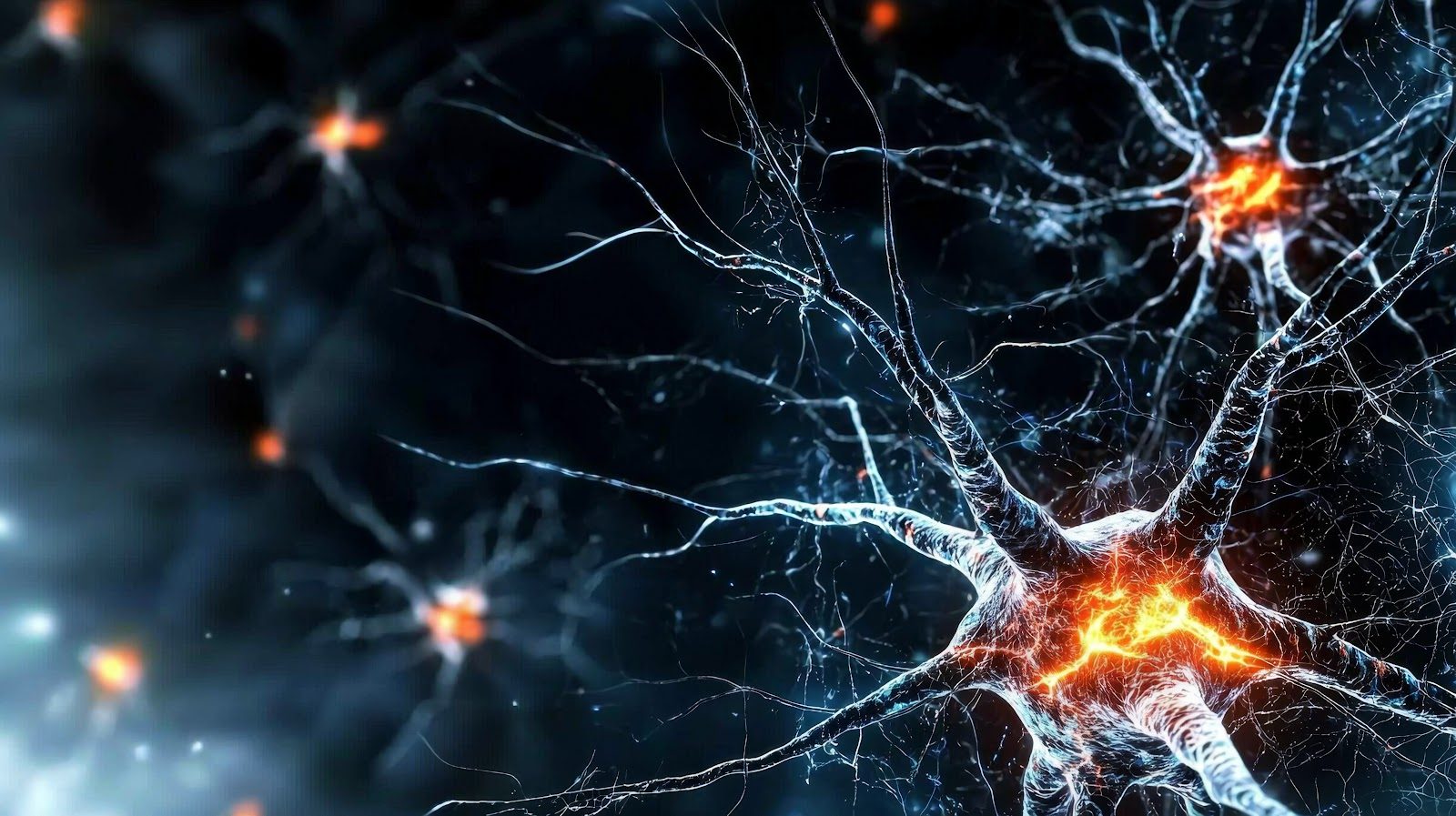 Dark blue field of neurons with fine branching processes and glowing orange points of light where synapses fire