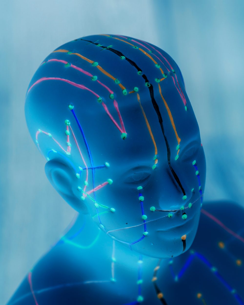 Acupuncture meridian model — online acupuncture CE courses for chiropractors; CCEDseminars category page