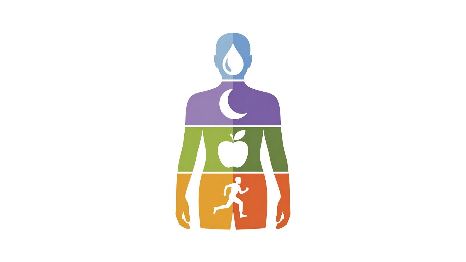 Color-banded human silhouette with icons for hydration, sleep, nutrition and exercise stacked from head to feet on a white background