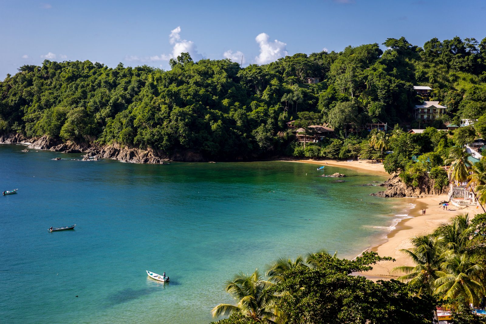 Trinidad and Tobago coastline — Trinidad & Tobago chiropractic continuing education requirements, CCEDseminars