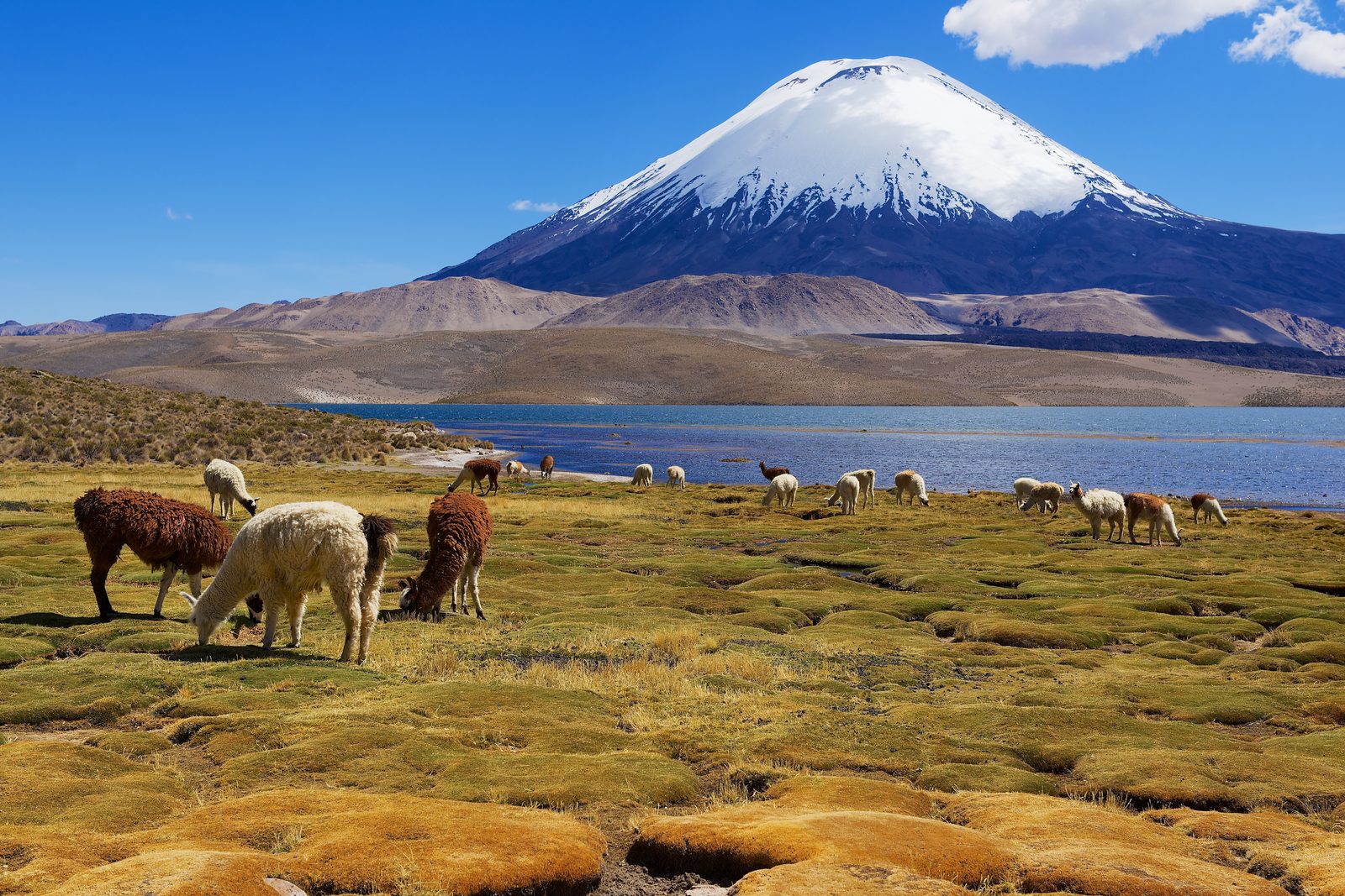 Chilean landscape — Chile chiropractic continuing education and regulation, CCEDseminars