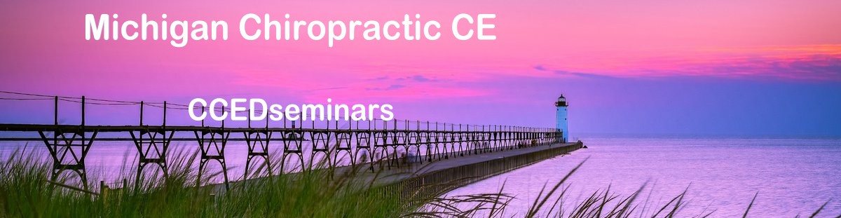 Sunrise over Lake Michigan lighthouse â€“ representing online chiropractic CE in Michigan