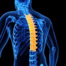 10/04/2022 7 - 9 PM CT Adjusting & Manual Therapy 302; Let’s Adjust – Costals – The Upper 6 image
