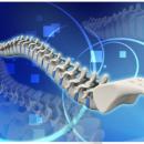  Rehabilitation 208: Lumbar Spine image