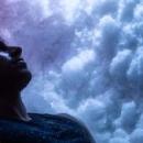 01/27/2026 7 - 9 PM CT Neurology 264: Sleep - A Unique Opportunity for Chiropractors | Online CE Webinar image