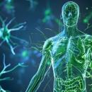 02/24/2026 7 - 9 PM CT Functional Medicine 307 | Natural Pain Management: Functional Strategies for Reducing Pain and Inflammation. image