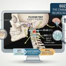 A simplified clinical diagram illustrating the biomechanical pivot point of Guzay's Theorem, showing the relationship between the temporomandibular joint (TMJ) and the axis of the upper cervical spine (C1-C2), optimized as a high-contrast thumbnail.