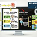 A clinical flowchart of the 