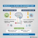 A clinical comparison chart illustrating the neurological hallmarks of 