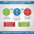 A clinical diagnostic infographic for stroke risk assessment, illustrating the transition from lifestyle stressors (Allostatic Load) to physiological markers (vital signs/tidal volume) and neurological signs (ischemic/hemorrhagic indicators), without using a computer frame.