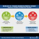 A colorful developmental infographic illustrating the critical milestones of infant brain development from birth to age five, highlighting key areas of neuroplasticity and the influence of environmental factors, optimized for high legibility as a thumbnail.