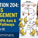 Professional clinical course thumbnail for Nutrition 204: 'Chiropractic Nutrition for Stress Management.' Features a bold blue layout with clinical diagrams of the HPA axis and cortisol response. High-resolution imagery of adaptogenic whole foods and clinical text emphasizing 'Selye Stress Model & HPA Dysfunction.' Includes CCEDseminars logo and PACE Approved badge.