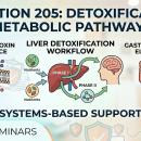 Infographic showing clinical detoxification pathways and nutritional support agents for chiropractic nutrition.
