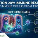 Clinical infographic showing the gut-immune axis (GALT) and pathways for innate and adaptive immune resilience. No human likeness.