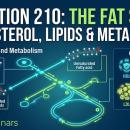 Nutrition 210: The Fat Story & Cholesterol | Chiropractic CE Online image