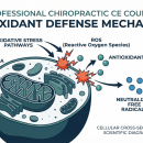 Nutrition 215: Antioxidants in Health & Disease CE | CCEDseminars image