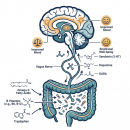 Nutrition 218: Nutrition and Mood | CCEDseminars image